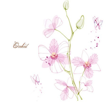 Hand Drawn Pink Orchid Vector Illustration