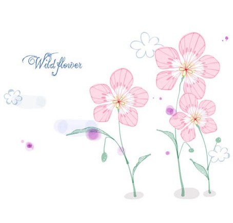 Hand Drawn Wild Flowers Vector Illustration