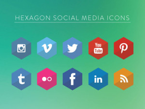 Flat Hexagon Social Icons Vector