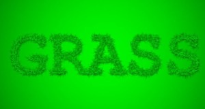 Grass Text Style PSD