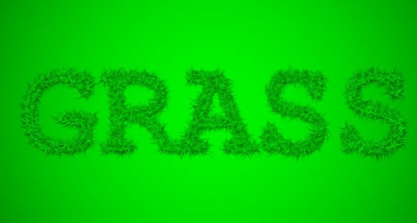 Grass Text Style PSD