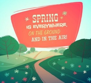Spring Is Everywhere Vector Illustration