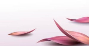 Fresh Flower Background Vector 04