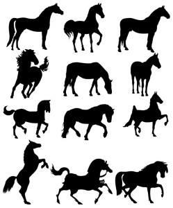 Horse Silhouettes Collection Vector