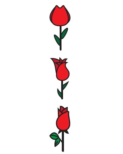 3 Red Roses Vector