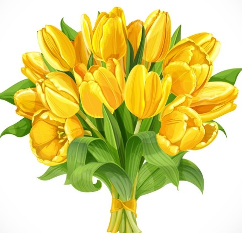 Gold Tulip Bouquet Vector