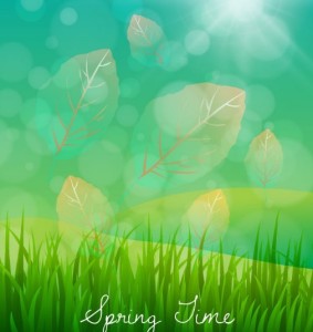 Spring Time Vector Background
