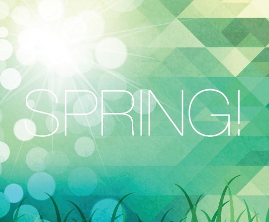 Fresh Spring Geometry Background Vector 01