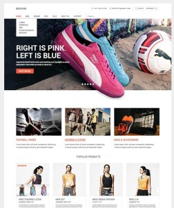 Biruang eCommerce Website Template PSD