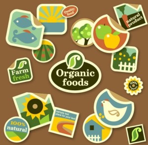 Organic Food Sticker Set Vector