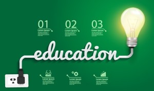 Education Infographic Template Vector
