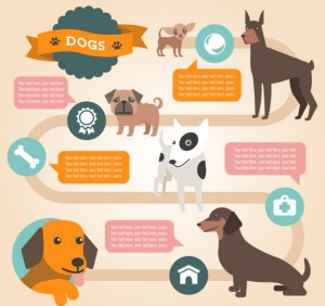 Flat Cartoon Dog Infographic Vector