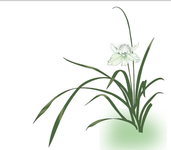 Green Orchid Vector Illustration