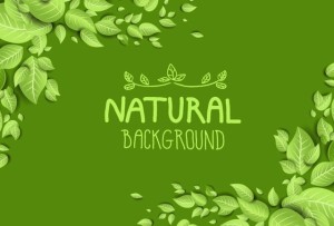 Green Natural Leaves Background Vector
