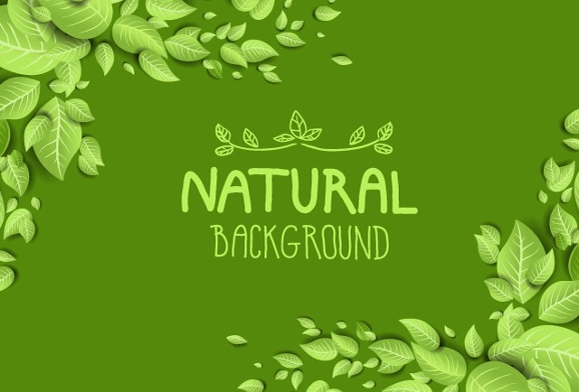Green Natural Leaves Background Vector