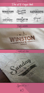 6 Insignia Labels Vector