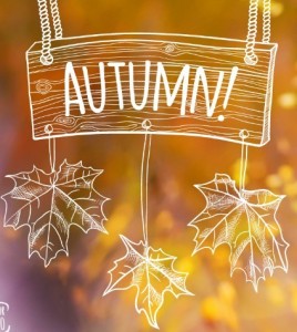 Hand Drawn Autumn Background Vector
