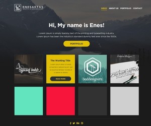 One Page Portfolio Website Template PSD