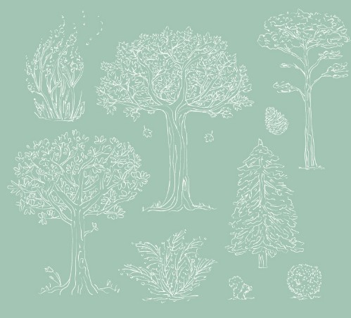 Hand painted White Trees Illustration Vector