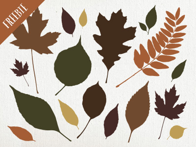 Fall Leaves Vector