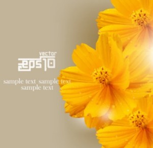 Yellow Daisy Background Vector
