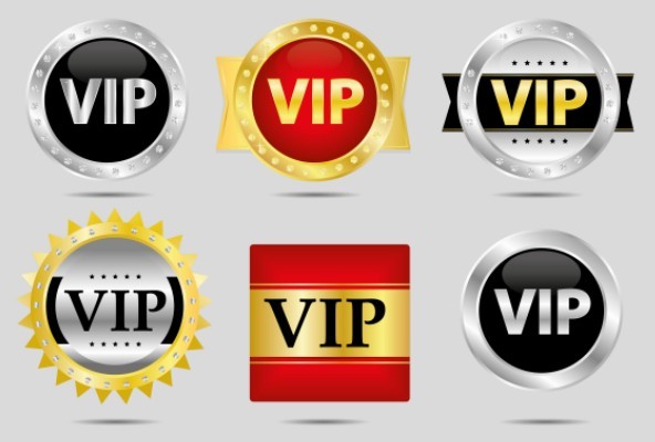 VIP Icon & Badge Set Vector