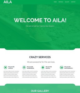 AILA Simple Flat Web Template PSD