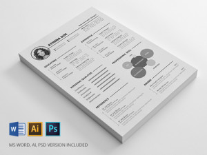 Print Ready Resumes Pack