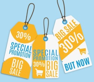 Special Promotion Hanging Tags Vector