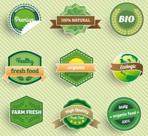 Green Health Food Badge Set Vector