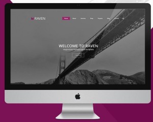 RAVEN Multipurpose Web Template PSD