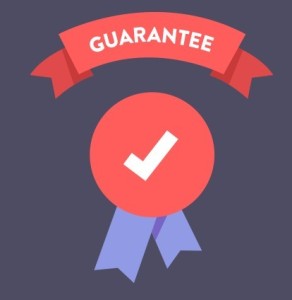 Guarantee Flat Icon Vector