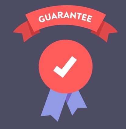 Guarantee Flat Icon Vector