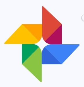 Google Inc. Icon Vector