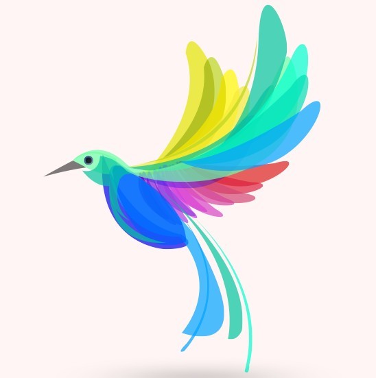 Colorful Summer Bird Vector Illustration