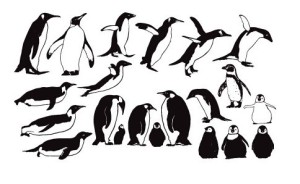 Penguin Silhouette Set Vector