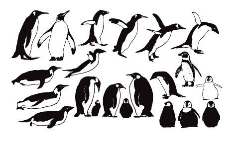 Penguin Silhouette Set Vector