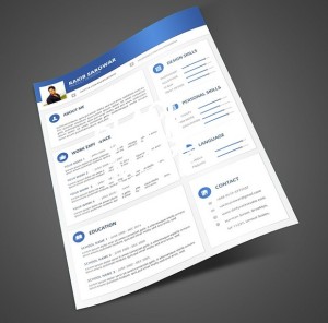 Blue Material Design Resume Mockup PSD