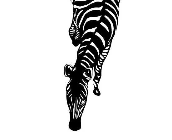 Minimal Vector Zebra
