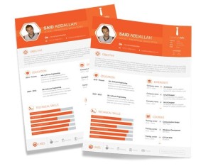 Orange Resume Template PSD