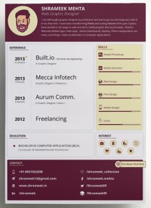 Clean Resume CV Vector Templates (3 Colors)