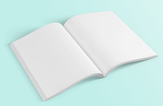Blank Magazine Mockups PSD