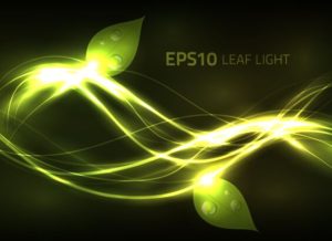 bright-leaf-light-background-vector