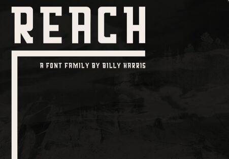 reach-font-family