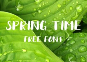 Spring Time Brush Font