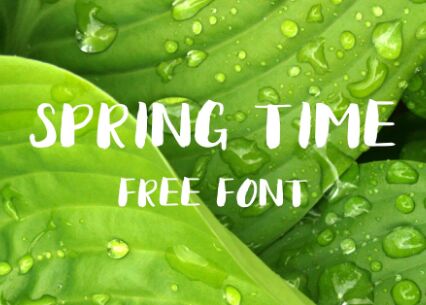 Spring Time Brush Font