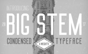 Big Stem Typeface