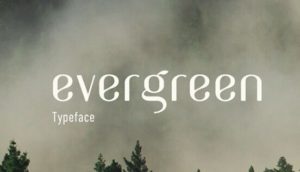 Evergreen Typeface