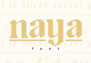 Naya Typeface