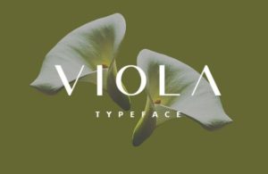 Viola Display Font